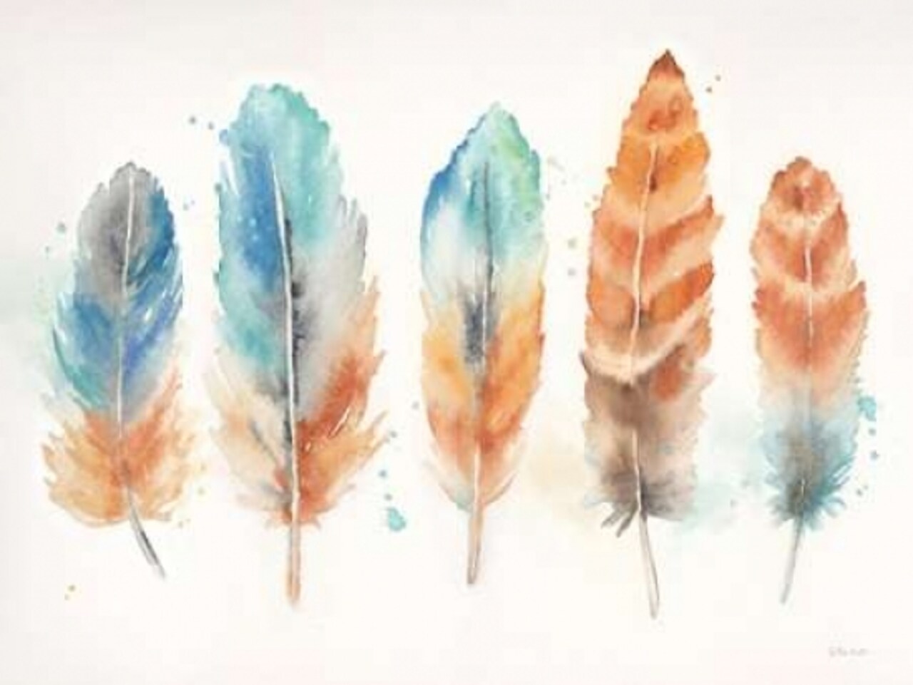 Watercolor Feathers Landscape Poster Print by  Cynthia Coulter - Item # VARPDXRB10762CC